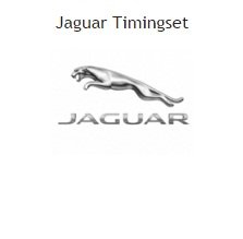 distributieriem of ketting timingset jaguar